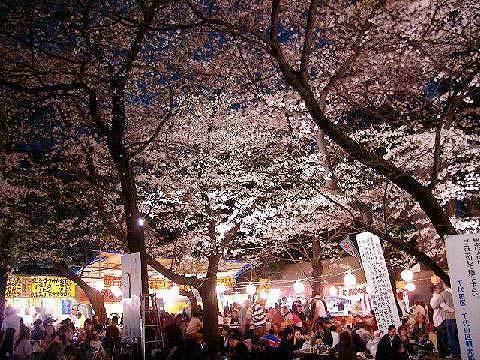 靖国神社 桜祭りは屋台で花見 16 靖国神社 桜ブログ